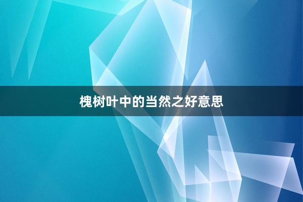 槐树叶中的当然之好意思