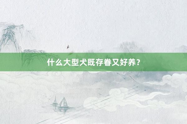 什么大型犬既存眷又好养？